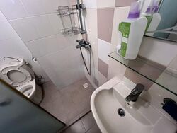 Blk 306B Treelodge@punggol (Punggol), HDB 4 Rooms #449121181
